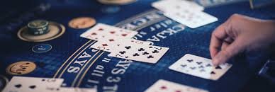 Live casino blackjack table at wargatogel login with professional dealer and multi-camera setup